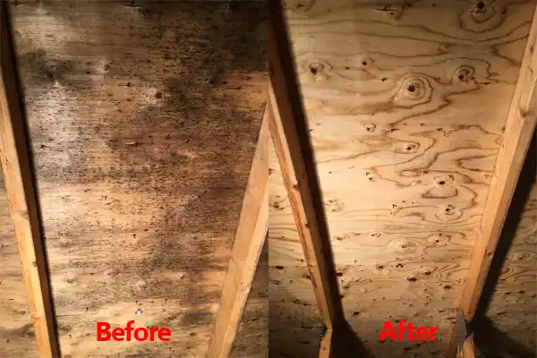 water damage restoration service Osage Beach